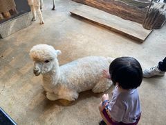 -昆明大悦城未来动物城(螺蛳湾中心店)