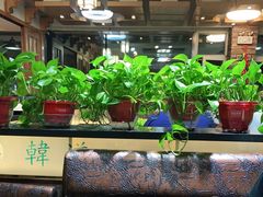 大堂-韩道炭火烤肉专门店