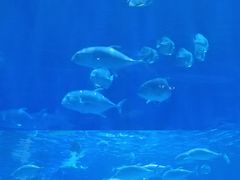 -华夏文旅西安度假区