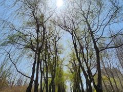 -长春公园(普阳街道)