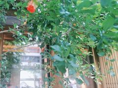 -鲤院·新中式美学·庭院餐厅(夫子庙店)