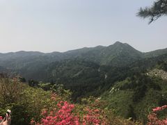 -木兰云雾山