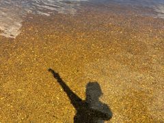 -五营红松林海景区