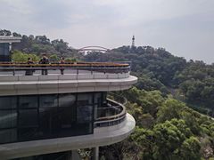 -金鸡山公园