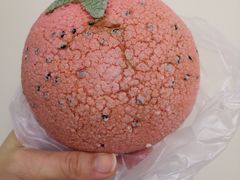 -巴黎贝甜(五月花广场店)