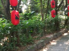 -茂德公草堂