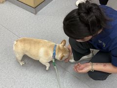 -康成宠物医院24H·CT·核磁共振