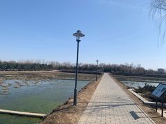 -大兴滨河森林公园