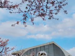 -龙美术馆(西岸馆)