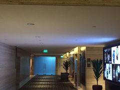 -新加坡乌节希尔顿酒店 (SG Clean)