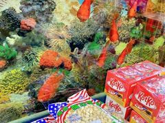 -紫荆城食品交易中心(华强北店)