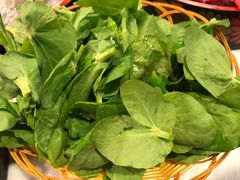 皇帝菜-鲜入围煮花胶鸡海鲜火锅