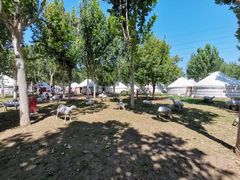 -九十九顶毡房(阜石路店)