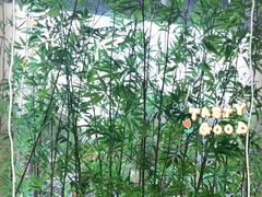 -新紫霞养生·影院足道·SPA(金山区店)