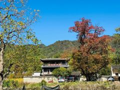-塔川景区