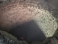 -安记烧鹅(新桥店)