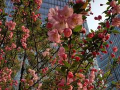 -上海虹桥中心爱琴海亚朵S酒店