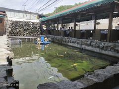 -京北渔家傲