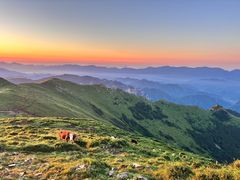 -灵山