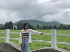 -瑞穗牧场