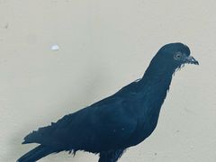 -亚坤(远东广场店)