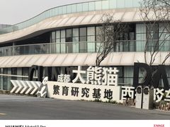 -成都大熊猫繁育研究基地