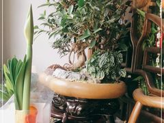 -FEI FEI FLOWER鲜花店·气球派对·宝宝宴布置(虹口德必运动Loft店)