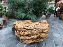 -兴芮温泉度假区