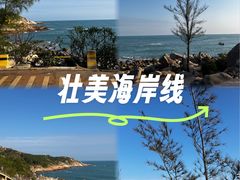 -广东惠东海龟国家级自然保护区