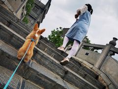 -合肥滨湖国家森林公园