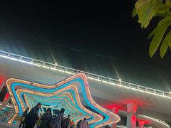 -演武大桥观景平台
