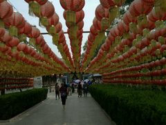 -大槐树寻根祭祖园