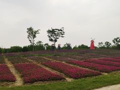 -同里国家湿地公园
