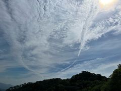 -福道