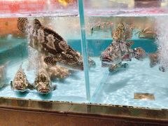 -阿伟海鲜楼·福建菜(延寿店)
