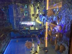 句容碧桂园凤凰城酒店-碧桂园凤凰城酒店(南京店)