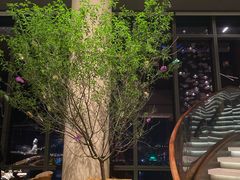 -大连君悦酒店·星海湾壹号Dalian·Dalian(星海广场店)