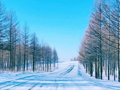 -塞罕坝国家级自然保护区