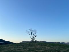 -东钱湖旅游度假区