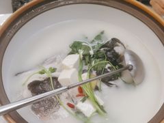 -宝荣鱼馆·临湖之宴(千岛湖店)