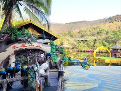 -西双版纳原始森林公园