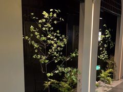 -隐溪茶馆(金虹桥店)