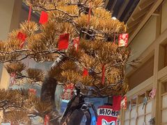 -伊豆野菜村(大族广场店)