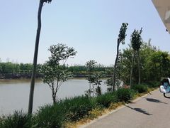 -西青郊野公园