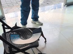 -康爱犬猫诊所·牙专科·骨外科·影像内科(丰宁店)