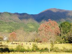 -塔川景区