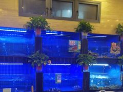 -高老庄新家宴(北斗星广场店)