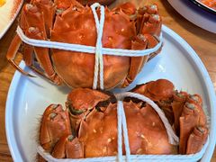-品鲜村农家菜·阳澄湖大闸蟹(总店)