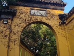 -西园戒幢律寺