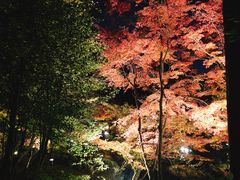 -醍醐寺